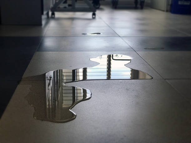 Best Water damage cleanup near me  in Snowflake, AZ