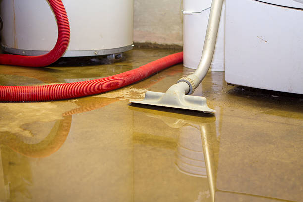 Professional Water damage restoration in Snowflake, AZ