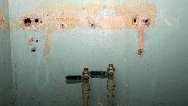 Best 24/7 water damage repair  in Snowflake, AZ