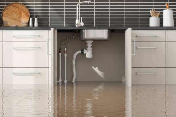 Best Flooded house restoration  in Snowflake, AZ