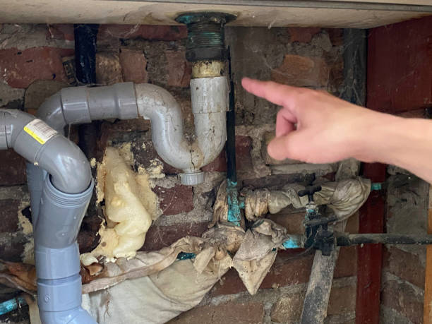 Trusted Snowflake, AZ Water damage restoration Experts