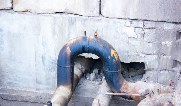 Best Flood restoration services  in Snowflake, AZ