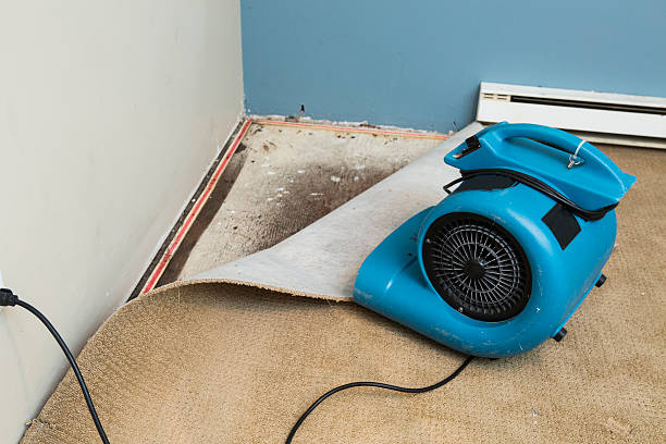Best Water damage restoration near me  in Snowflake, AZ