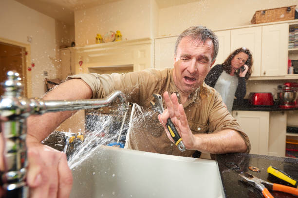 Best Water damage cleanup near me  in Snowflake, AZ